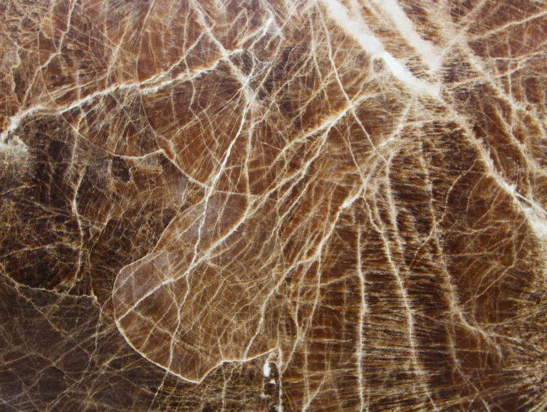 ONYX FLORA BROWN, onyx