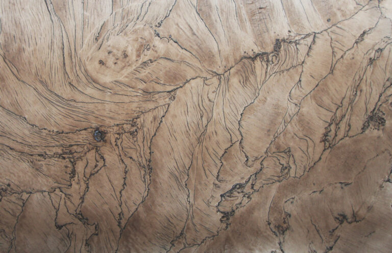 DOUBLE BROWN, quartzite