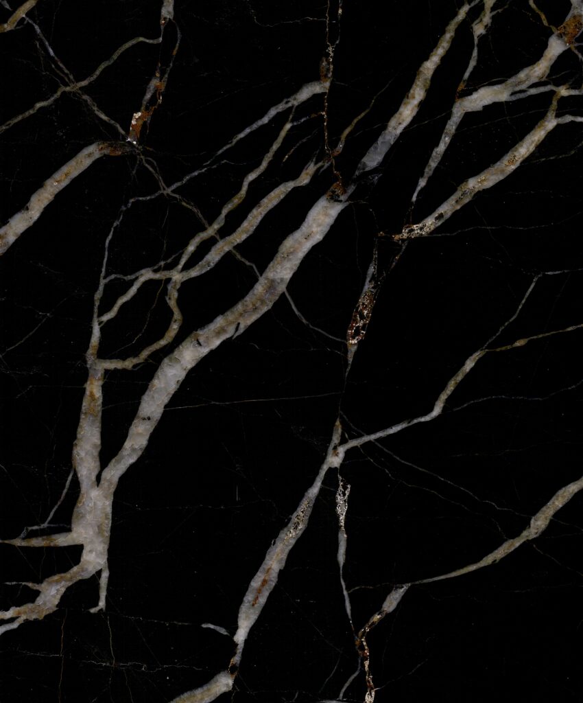 NOIR SAINT LAURENT, foto 1 dari 2