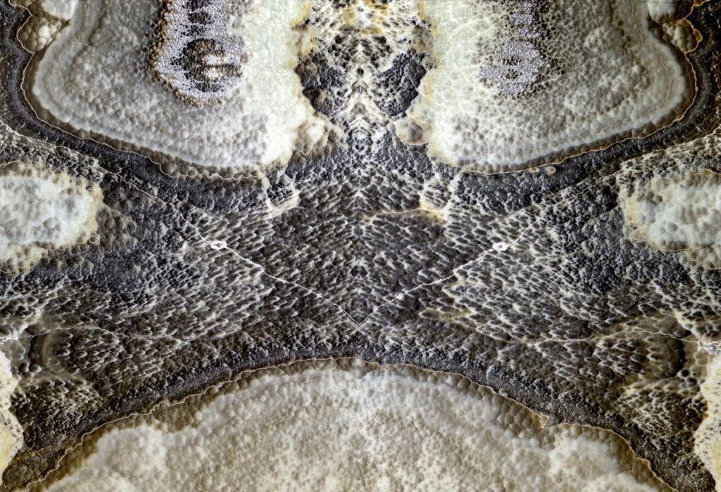 ONYX PERLATO GRIGIO, foto 1 dari 1