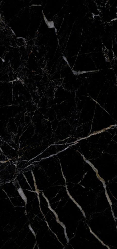 NOIR SAINT LAURENT, foto 2 dari 2