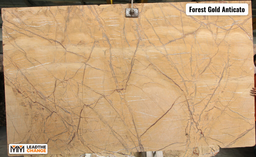 FOREST GOLD ANTICATO, foto 2 dari 2