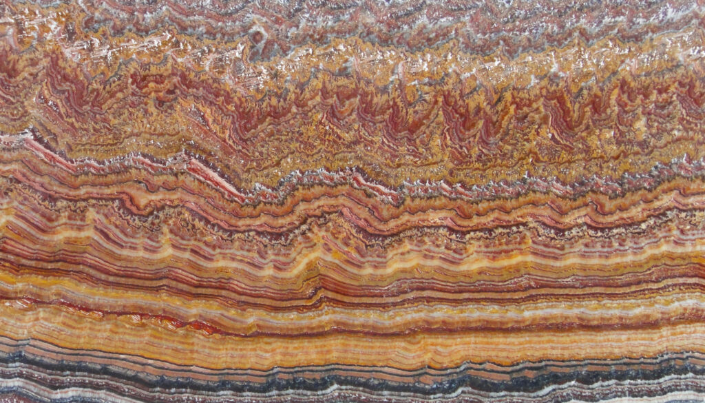 ONYX TIGER LINEA, foto 1 dari 2