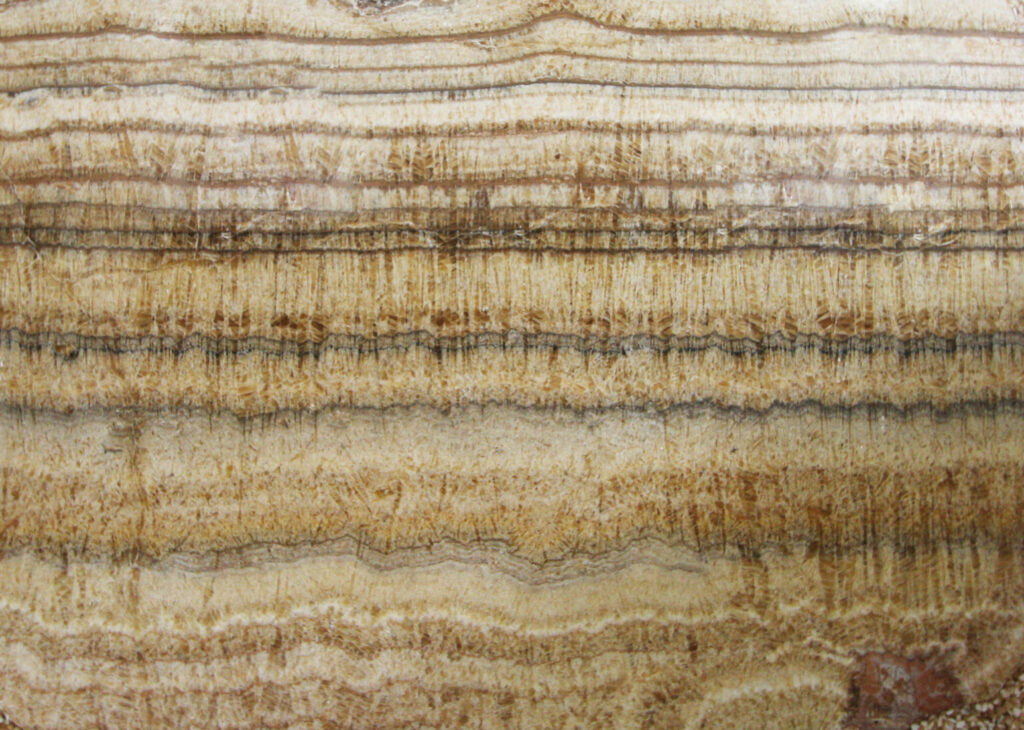 ONYX WALNUT STALACTIDE, foto 1 dari 2