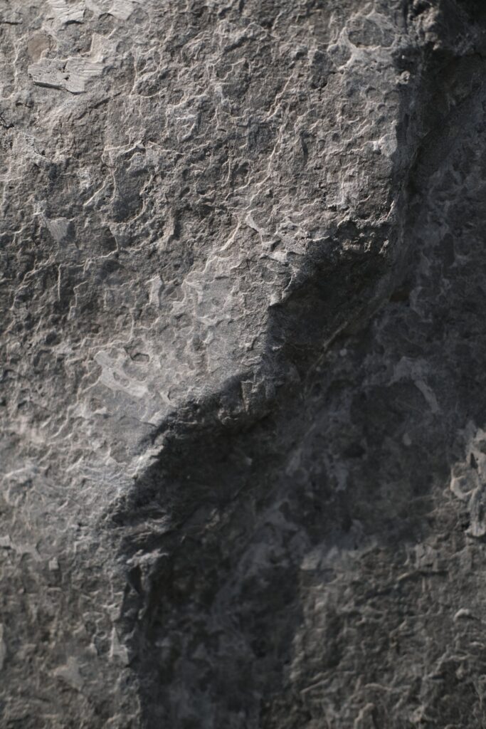 Flower Black, Sierra finish, close up