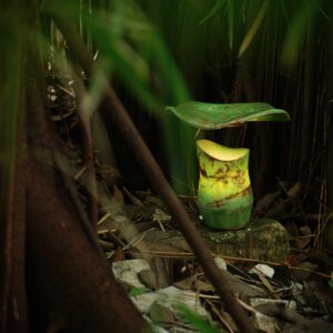 Kantung Semar table lamp in Golden Green onyx with a leaf-shaped top, photographed among forest plants